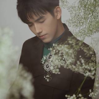 Chen Feiyu wallpaper