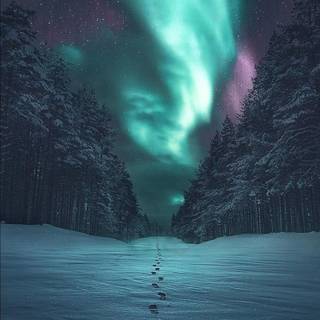 The Northern Lights wallpaper