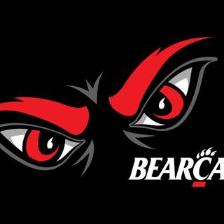 Brookland Bearcats wallpaper