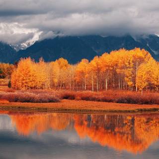 Autumn panoramic wallpaper