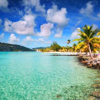 Martinique wallpaper