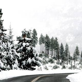 Cute winter Macbook wallpaper