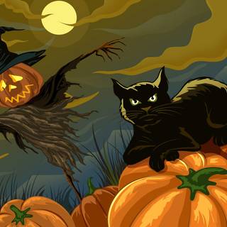 Pumpkin cat wallpaper