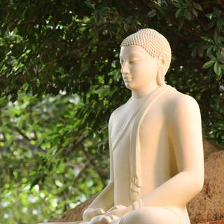 Buddha statue wallpaper
