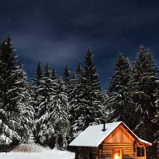 Cottage and winter tree wallpaper