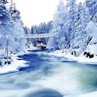River winter wallpaper