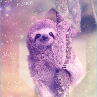 Funny sloth wallpaper
