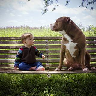 Boy and dog wallpaper