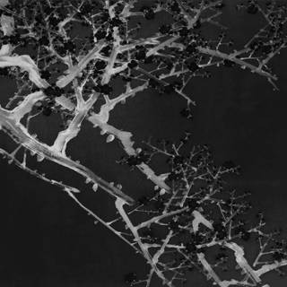 Dark painting wallpaper