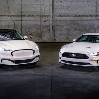 2022 Ford Mustang wallpaper