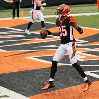 Chad Ochocinco wallpaper