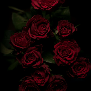 Gothic aesthetic wallpaper