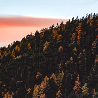 Autumn iPhone 12 wallpaper