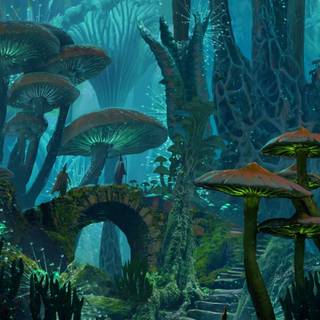 Mushroom forest wallpaper