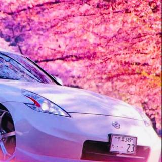 Pink JDM wallpaper