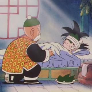 Dragon Ball Grandpa Gohan wallpaper