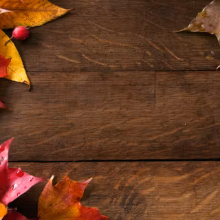 Autumn banner wallpaper