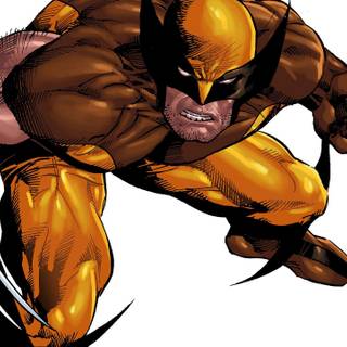 Wolverine Marvel Comics desktop wallpaper