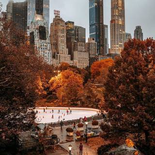 City autumn iPhone wallpaper
