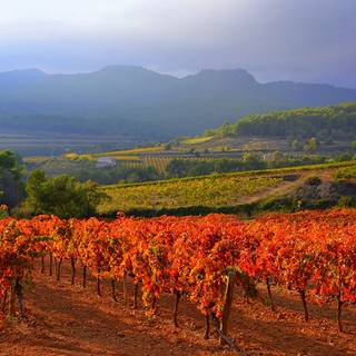 Autumn Spain wallpaper