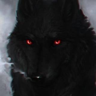 Red eye wolf wallpaper