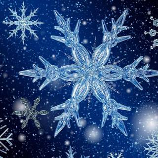 Winter iPhone Pro wallpaper