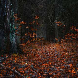 Grunge autumn PC wallpaper