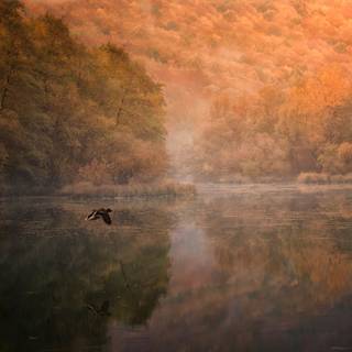 Flying autumn leaf wallpaper