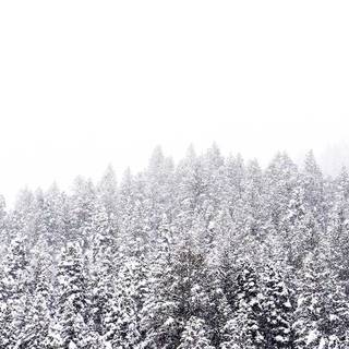 Preppy winter wallpaper