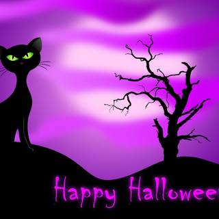 Scary Halloween cats wallpaper