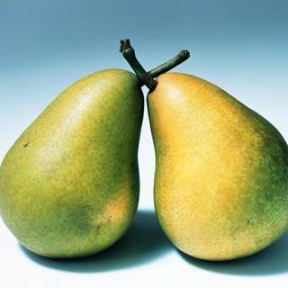 Dates fruit wallpaper