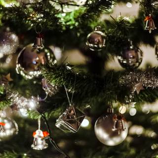 Christmas tree portrait wallpaper