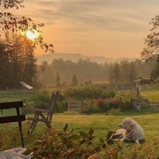 Dark cottagecore wallpaper