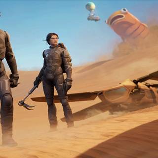 Chani Fortnite wallpaper