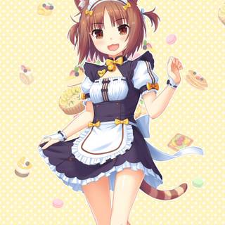 Azuki Nekopara wallpaper