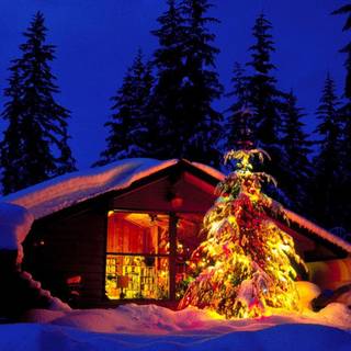 Christmas snow forest wallpaper