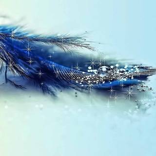 Glitter beauty wallpaper