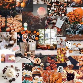 Halloween phone collage wallpaper
