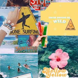 Surf vibes wallpaper