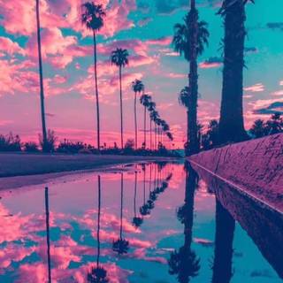 Phone trees wallpaper