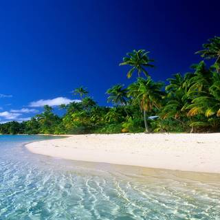 Desert island wallpaper