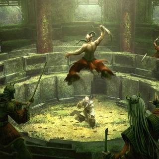 Martial arts fight wallpaper