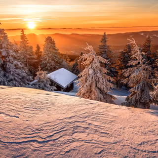 Winter moutain tree wallpaper