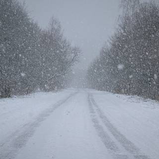 Winter snowfall road wallpaper
