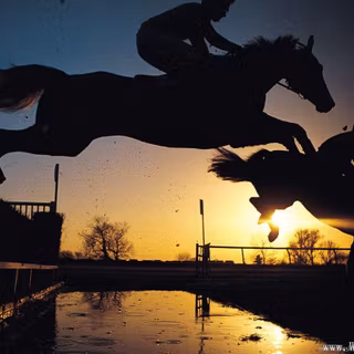 Horse sports wallpaper