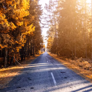 Autumn vibe 4k wallpaper