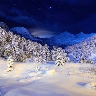 Winter nigh wallpaper