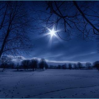 Winter nigh wallpaper