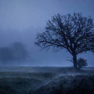 4k weather wallpaper