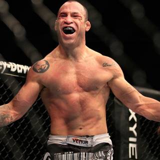 Wanderlei Silva wallpaper